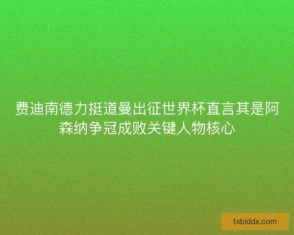 费迪南德力挺道曼出征世界杯直言其是阿森纳争冠成败关键人物核心 费迪南德力挺道曼出征世界杯直言其是阿森纳争冠成败关键人物核心