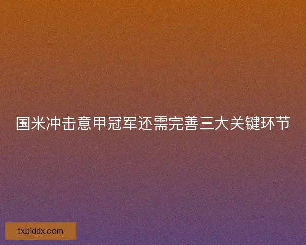 国米冲击意甲冠军还需完善三大关键环节