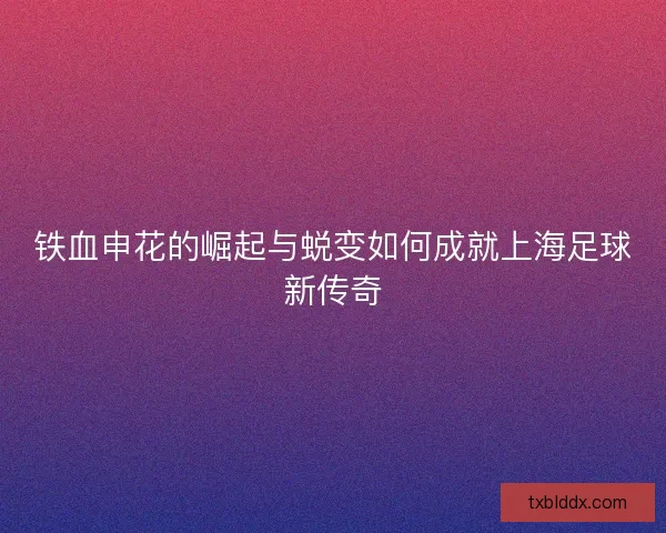铁血申花的崛起与蜕变如何成就上海足球新传奇 铁血申花的崛起与蜕变如何成就上海足球新传奇